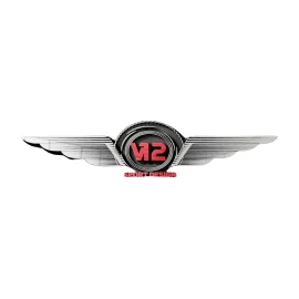 V12